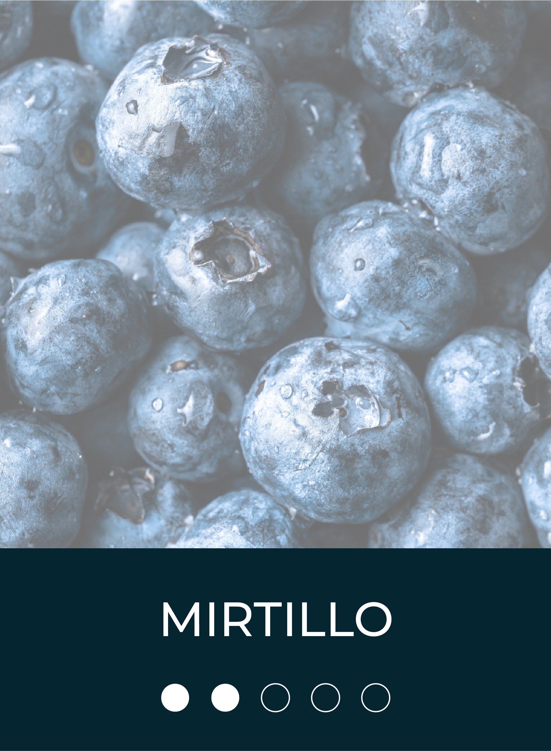 mirtillo-01